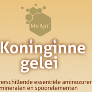Koninginnegelei
